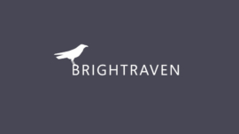 BrightRaven Solutions logo