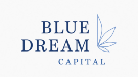 Blue Dream Capital logo